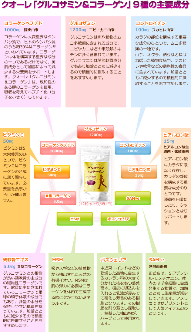 9種類の主要成分：グルコサミン,コラーゲンペプチド,鳥軟骨エキス（Ⅱ型コラーゲン）,コンドロイチン,ヒアルロン酸,ビタミンC,MSM,ボスウェリア,SAM-e